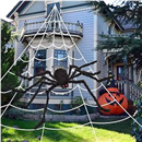 200" Halloween Decorations Spider Web Outdoor +59" Giant Spider Décor