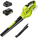 SnapFresh 20V Leaf Blower, Leaf Blower Cordless with 2.0Ah Battery & Fast Charger, 2.7lbs Lightweight Electric Leaf Blower, 2 Speed Modes for Lawn, Patio, Yard & Sidewalk Care