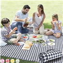 ZAZE Picnic Blankets Machine Washable, 80''x80'' Extra Large Waterproof Sandproof Foldable Compact Beach Blanket, Oversized XL Outdoor Mat for Spring Summer Camping, Park, Travel Grass(Blue and White)