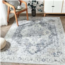 JINCHAN Area Rug 6x9 for Living Room Bedroom Washable Non-Slip Vintage Rug