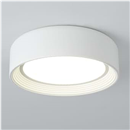 Dimmable Flush Mount Ceiling Light White, 24W LED Ceiling Light Fixture, 3000K-6500K 5CCT Round 11.81 in Modern Lighting Fixtures for Laundry Room Hallway Kitchen