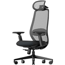 ProtoArc EC200 Ergonomic Office Chair – High-Back Mesh Computer Chair with Lumbar Support, Adjustable Seat Depth & 3D Headrest Ergo Desk Chairs for Work from Home, 8+ Hours Comfort – Black