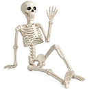 Halloween Skeleton Decorations,36" Posable Human Skeleton Decorations for Halloween Party Decor, Haunted House Props Indoor Outdoor Decoration