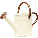 Bamworld Metal Watering Can for Indoor Outdoor Plant 1/2 Gallon Creamy | Plant Watering cans with Removable Spout Embossd Design Plant Watering Devices Galvanized Perfect Home & Garden Décor