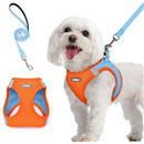 rabbitgoo Dog Harness Small Breed and Leash Set, Step in Puppy Vest