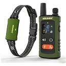 Dog Training Collar with Remote, Tender Green